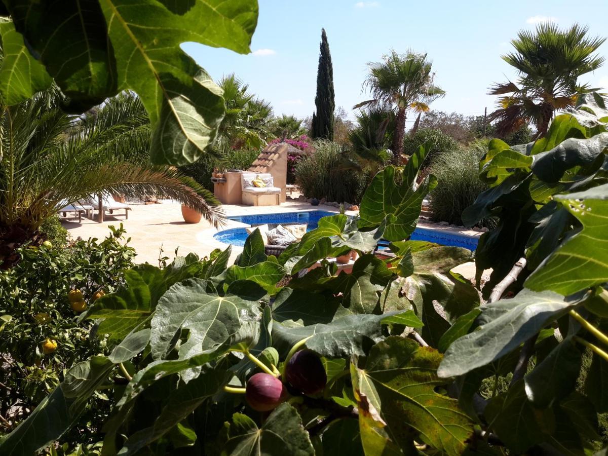 Finca Alqueria Fosca Campos  Εξωτερικό φωτογραφία