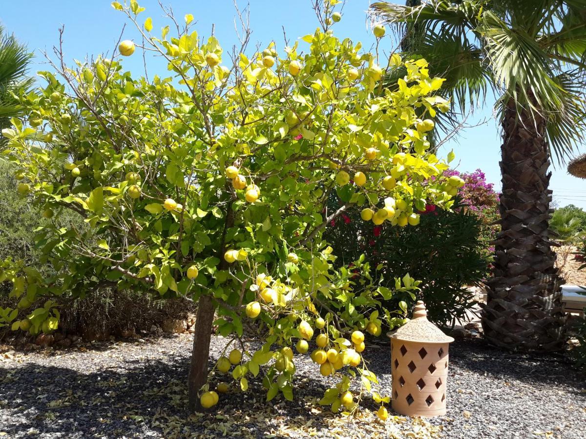 Finca Alqueria Fosca Campos  Εξωτερικό φωτογραφία