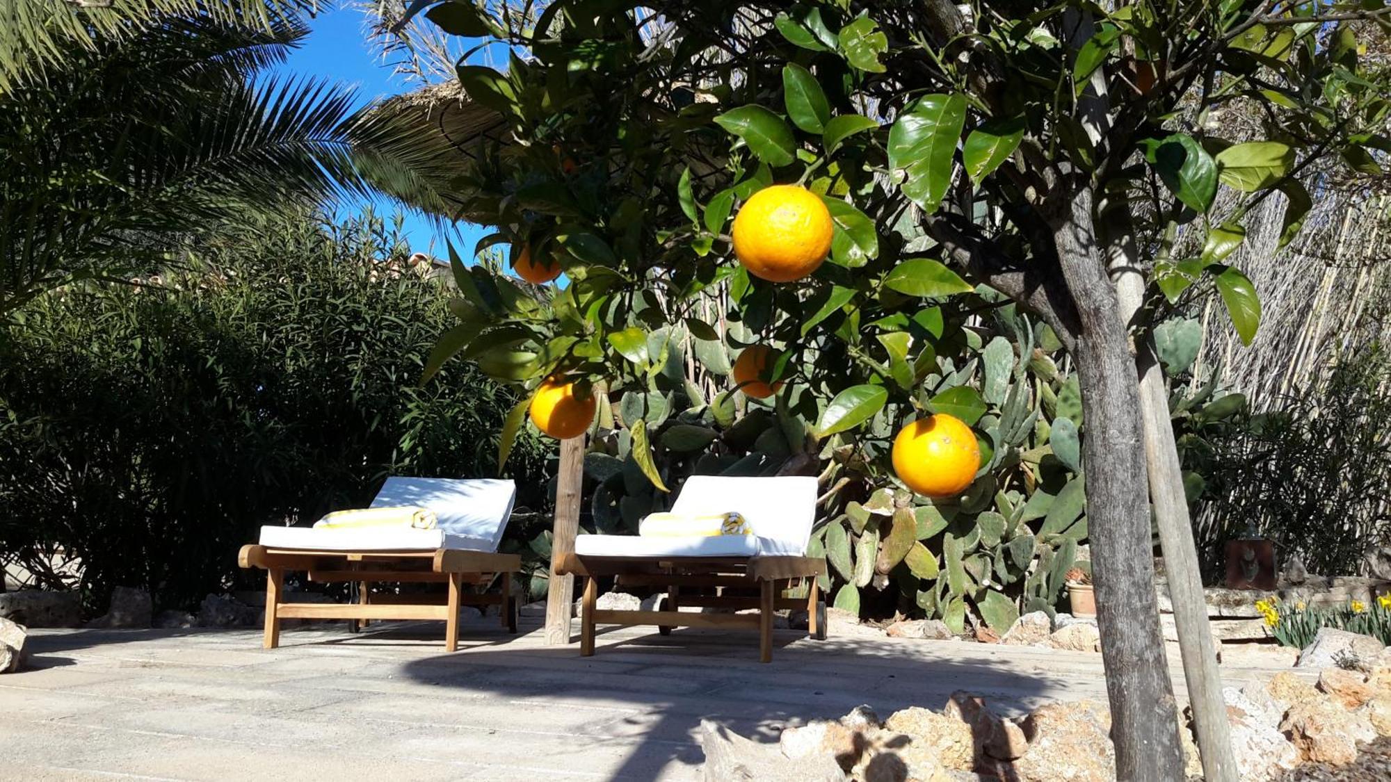 Finca Alqueria Fosca Campos  Εξωτερικό φωτογραφία