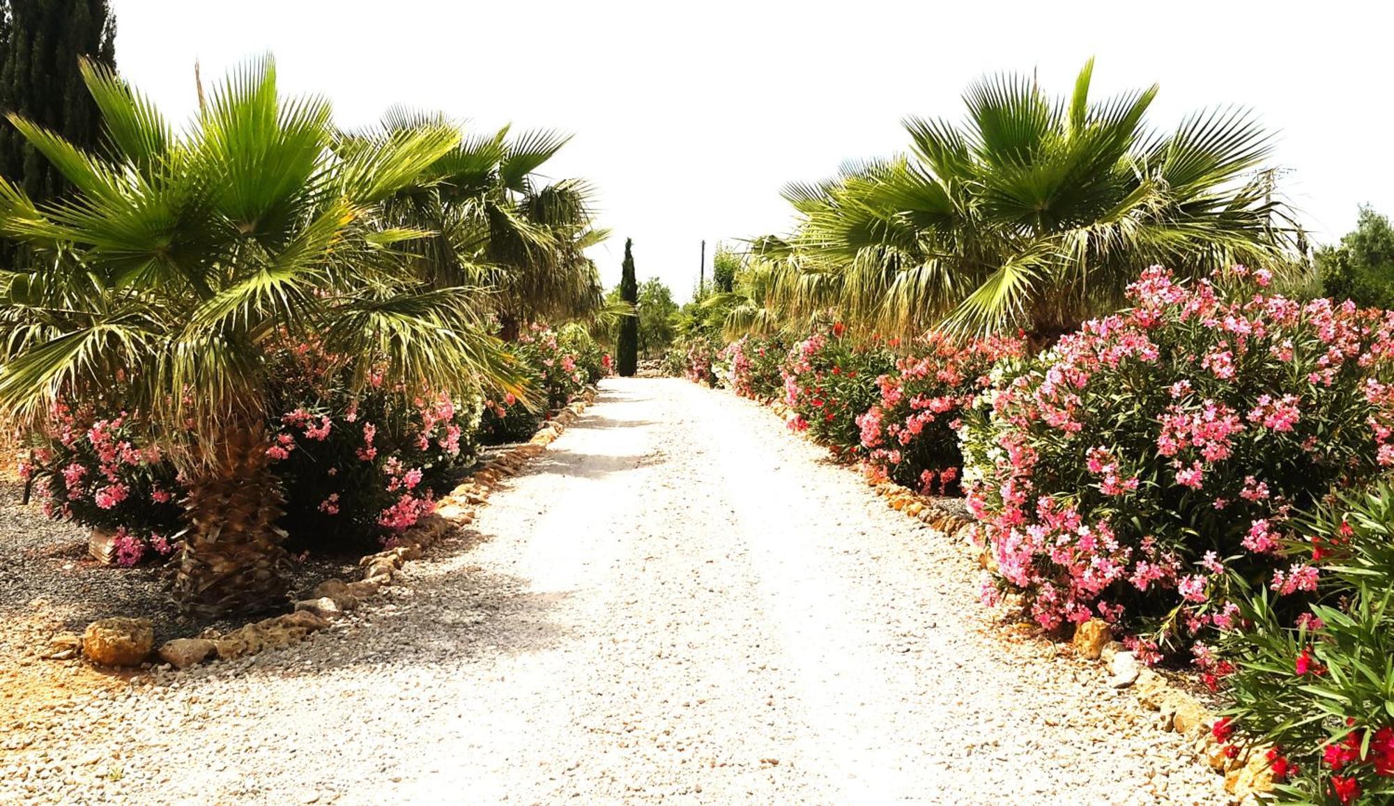 Finca Alqueria Fosca Campos  Εξωτερικό φωτογραφία